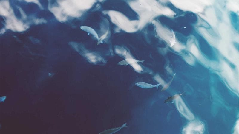 Backlink Quality vs. Quantity: What the Data Actually Shows